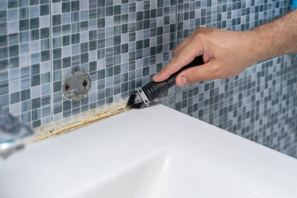 Best Mold Remediation  in Leland Grove, IL